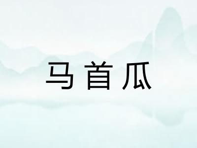 马首瓜