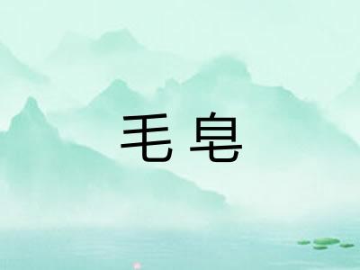 毛皂