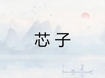 芯子