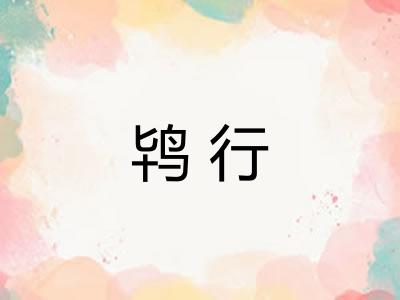 鸨行