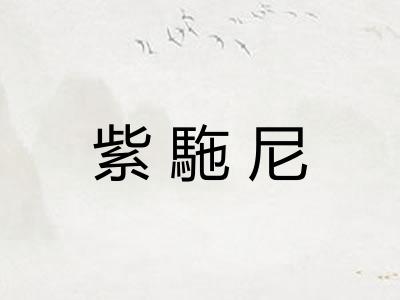 紫駞尼 紫駞尼
