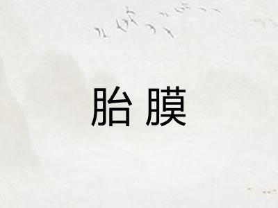 胎膜