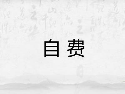 自费