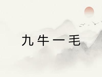 九牛一毛