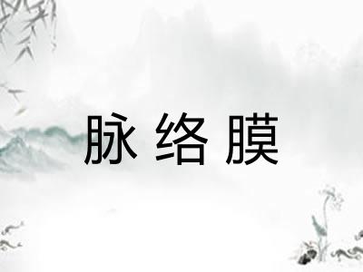 脉络膜
