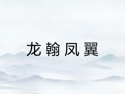 龙翰凤翼