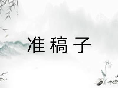 准稿子