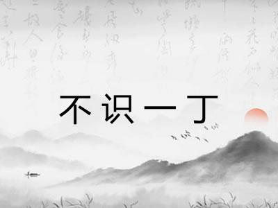 不识一丁