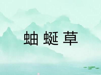 蚰蜒草