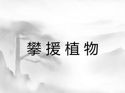 攀援植物