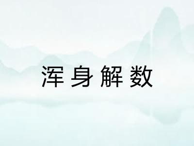 浑身解数