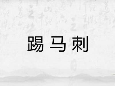 踢马刺
