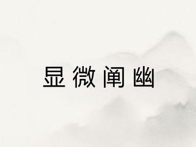 显微阐幽