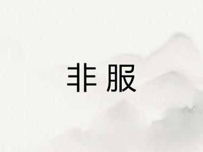 非服