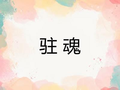 驻魂