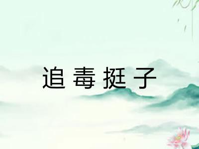 追毒挺子