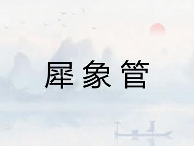 犀象管