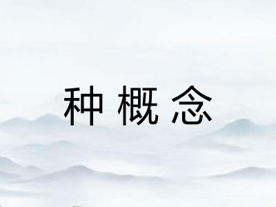 种概念