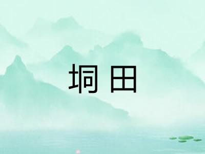 垌田