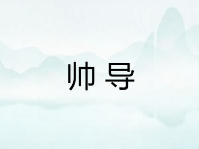 帅导
