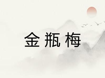金瓶梅