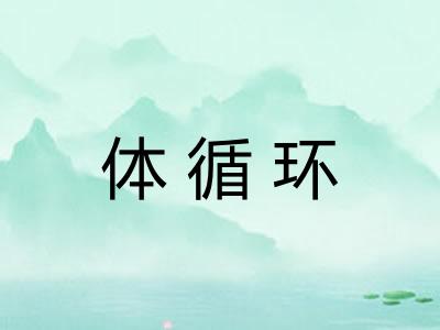 体循环