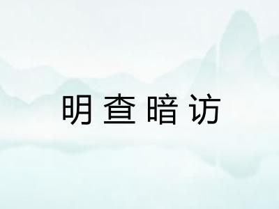 明查暗访