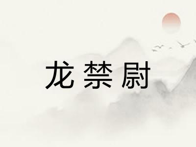 龙禁尉