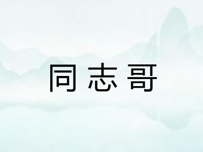 同志哥