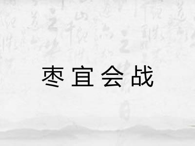 枣宜会战