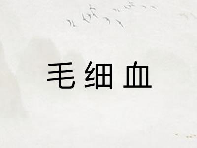 毛细血