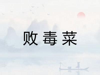败毒菜