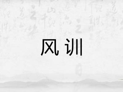 风训