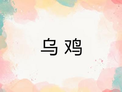 乌鸡