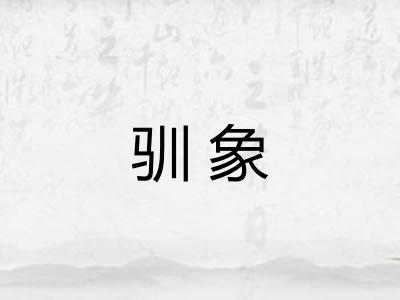 驯象
