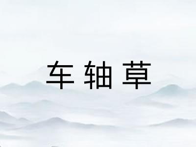 车轴草
