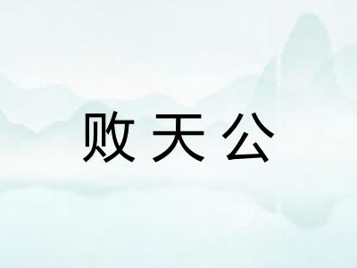 败天公