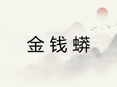 金钱蟒