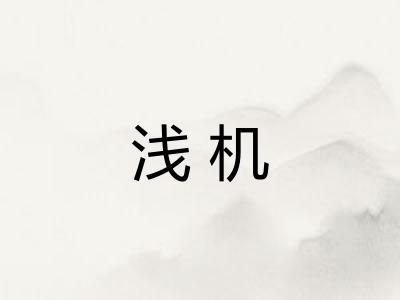 浅机