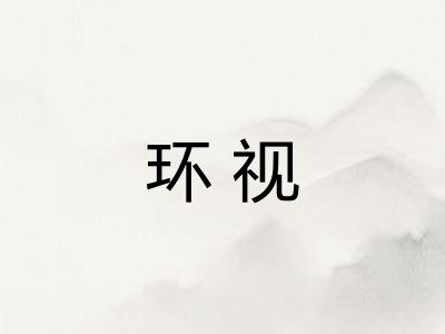 环视