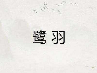 鹭羽