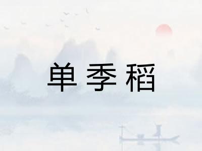 单季稻
