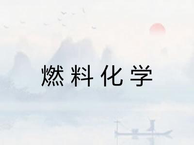燃料化学