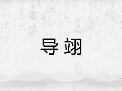 导翊