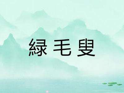 緑毛叟