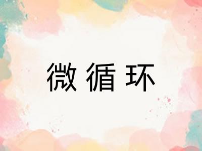微循环 微循环