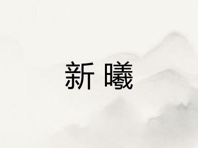 新曦