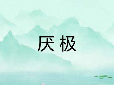 厌极