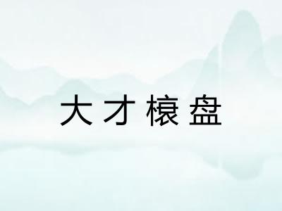 大才榱盘