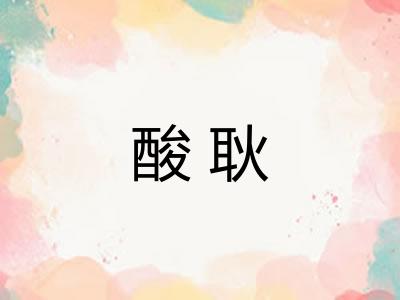 酸耿